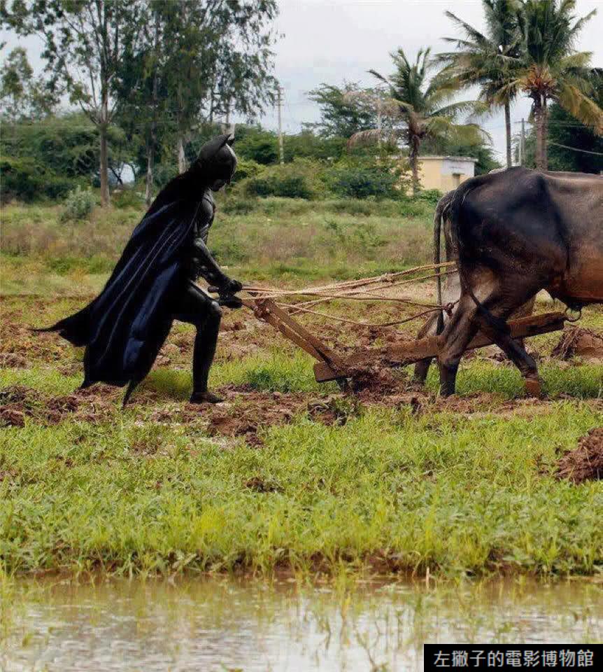 蝙蝠俠 犁田再起