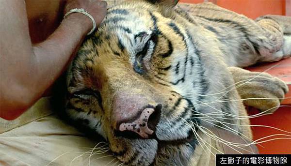 1287600704 1287600704