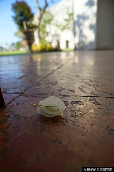 DSC07707.JPG DSC07707.JPG