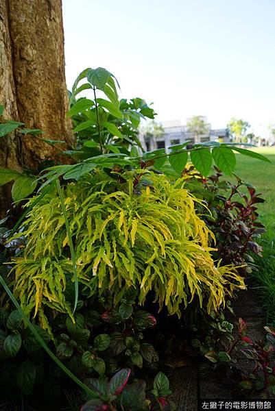 DSC07710.JPG DSC07710.JPG