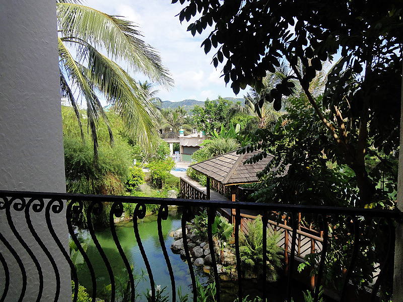 DSC06603.jpg DSC06603.jpg