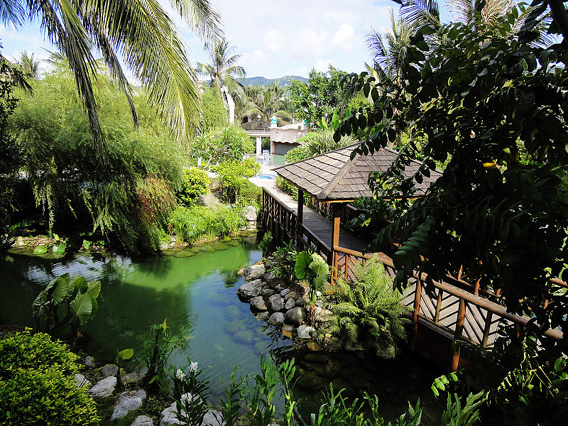 DSC06605.jpg DSC06605.jpg