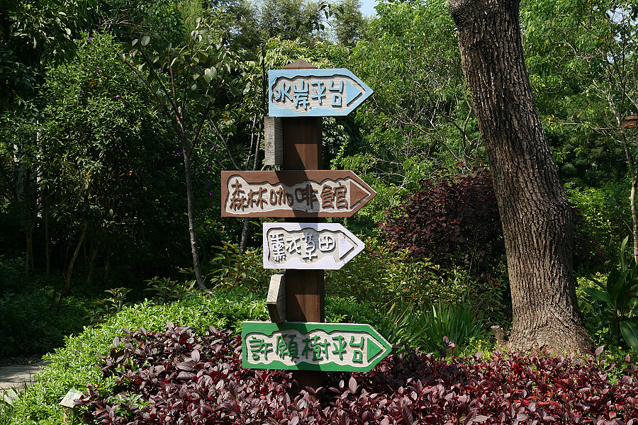 IMG_5132.jpg IMG_5132.jpg