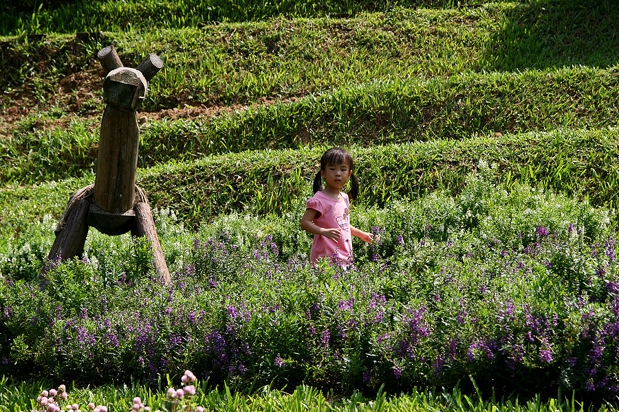 IMG_5166.jpg IMG_5166.jpg