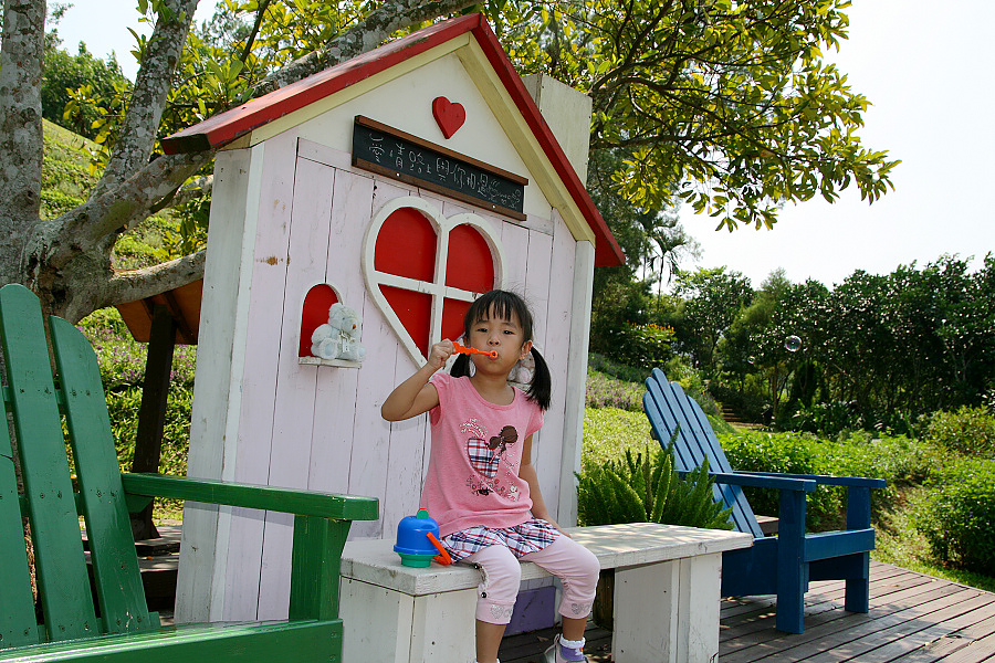 IMG_5175.jpg IMG_5175.jpg