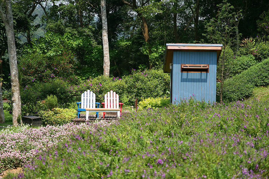 IMG_5306.jpg IMG_5306.jpg