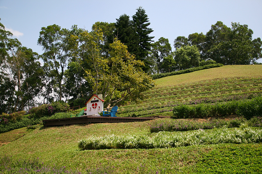 IMG_5309.jpg IMG_5309.jpg