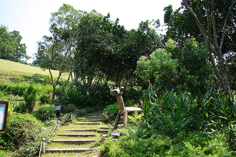 IMG_5310.jpg IMG_5310.jpg