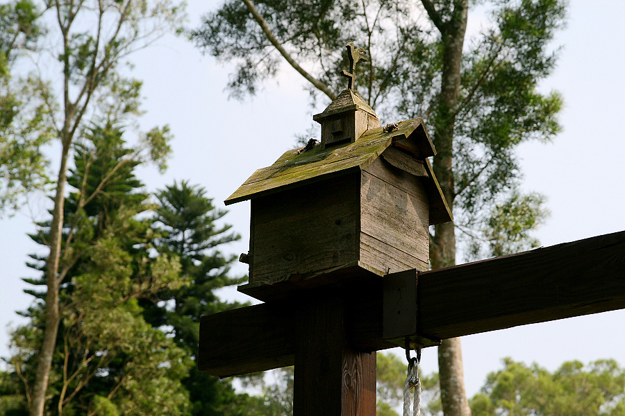 IMG_5364.jpg IMG_5364.jpg