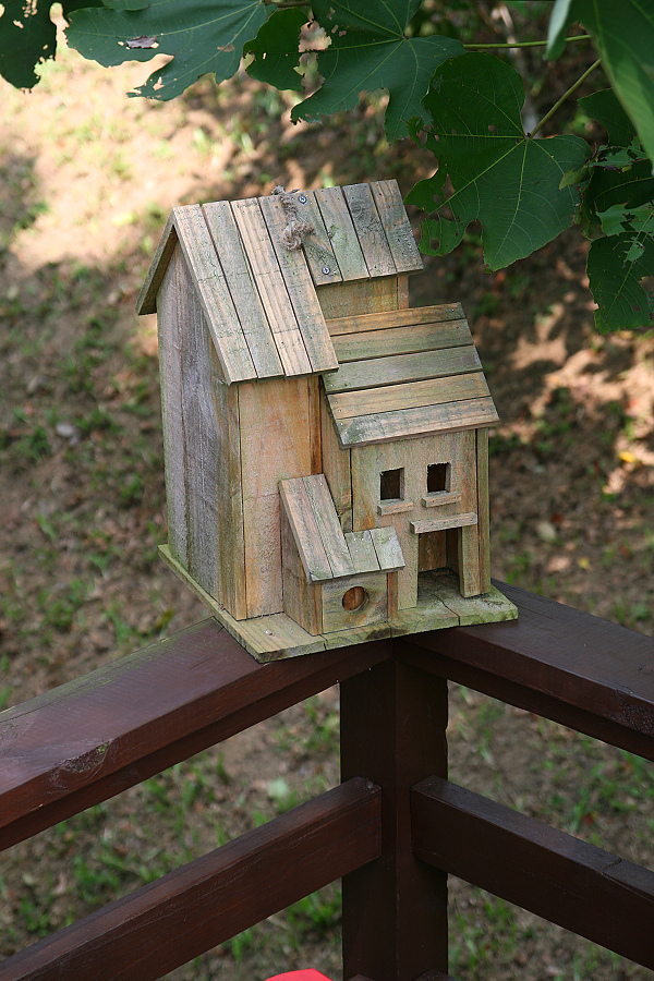 IMG_5375.jpg IMG_5375.jpg