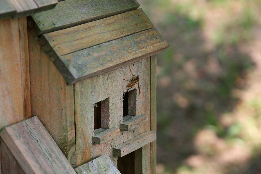 IMG_5384.jpg IMG_5384.jpg