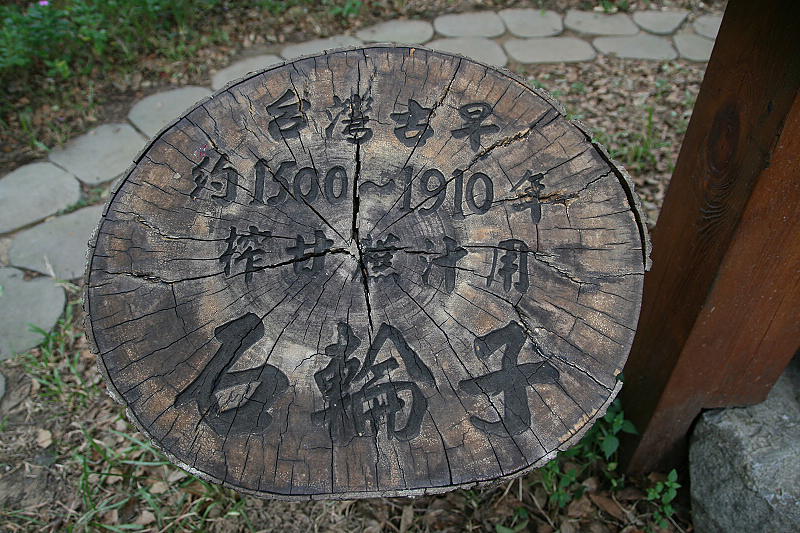 IMG_3367.jpg IMG_3367.jpg