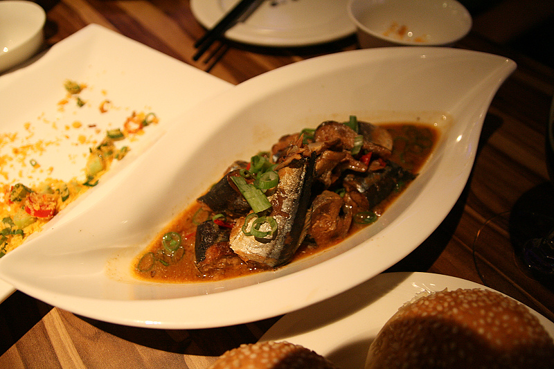 IMG_3300.jpg IMG_3300.jpg