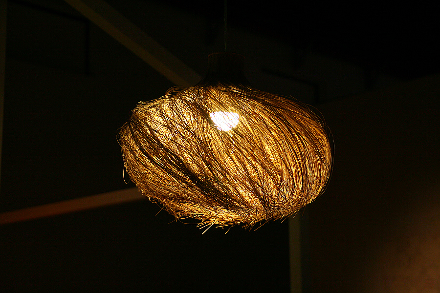 IMG_6084.jpg IMG_6084.jpg