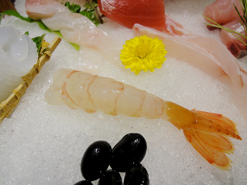 DSC07565.jpg DSC07565.jpg