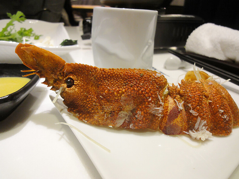 DSC07597.jpg DSC07597.jpg