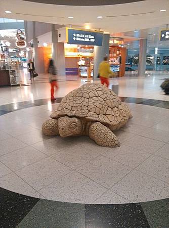 IMG_20131206_183332.jpg IMG_20131206_183332.jpg