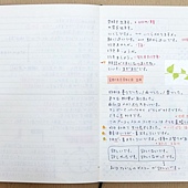 DSCF3658