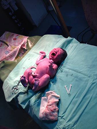 2014-02-17 15.17.43.jpg 2014-02-17 15.17.43.jpg