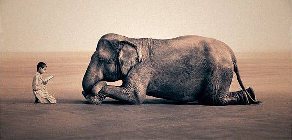 gregory-colbert-5-640x306