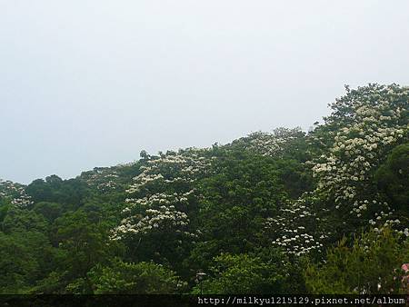 P1<br />
<br />
<br />
<img src= 20120429487