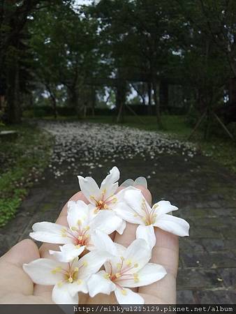 20120429519^^ 20120429519^^
