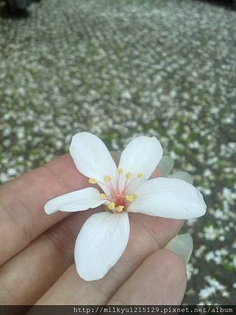 20120429550^^ 20120429550^^