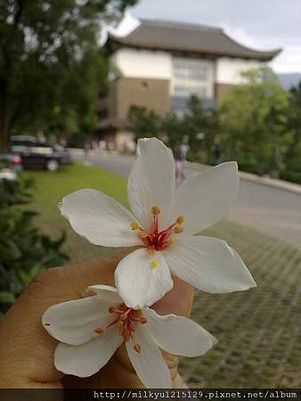 20120501571 20120501571