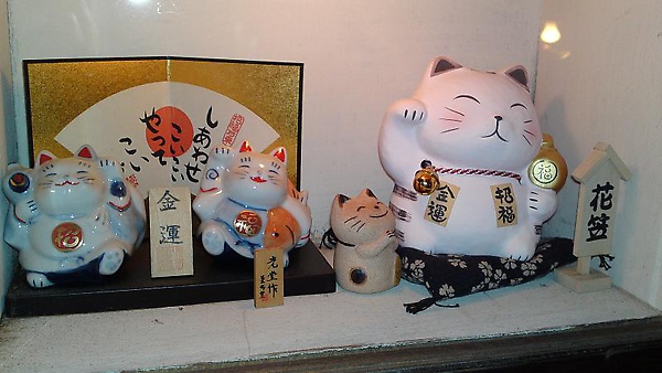 20100220052.JPG 20100220052.JPG