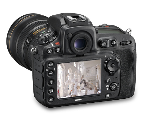 2589708442 2589708442