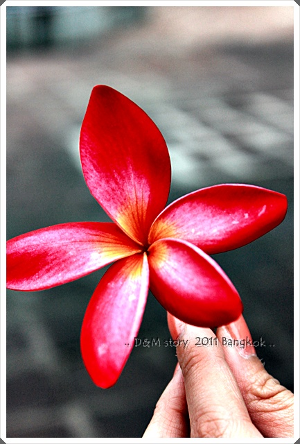 WA01 (14).JPG