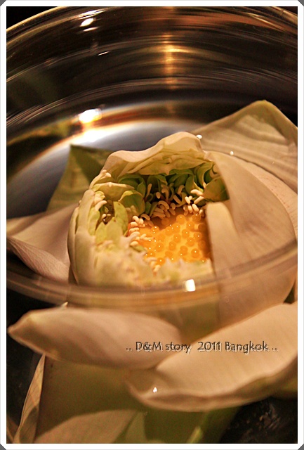 BN01 (10).JPG