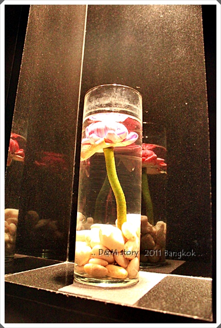 BN01 (11).JPG