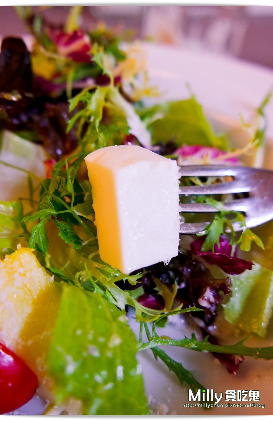 瑞德餐飲 00034.jpg