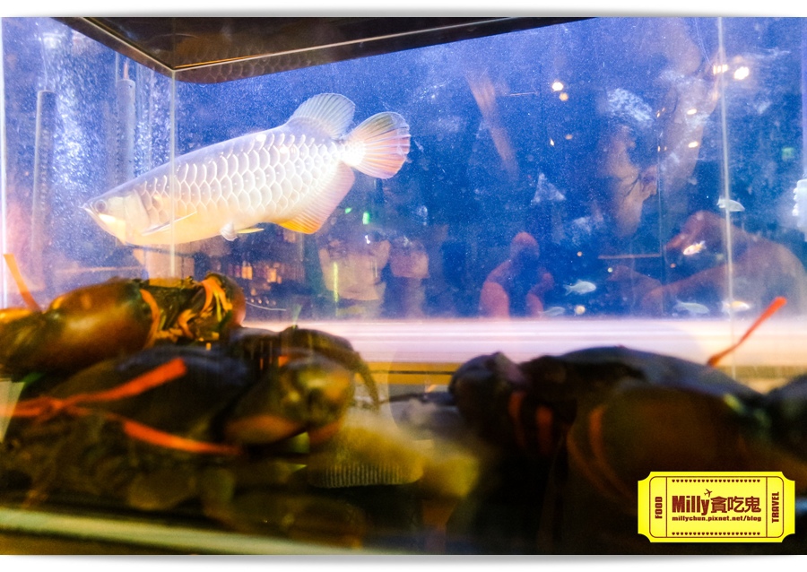 不二壽司Milly 012.jpg