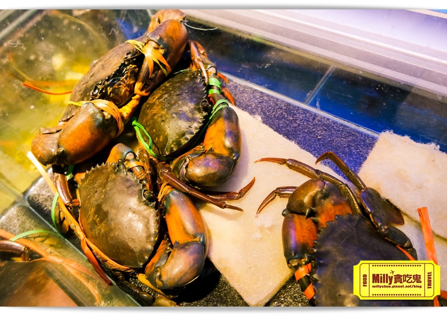 不二壽司Milly 013.jpg