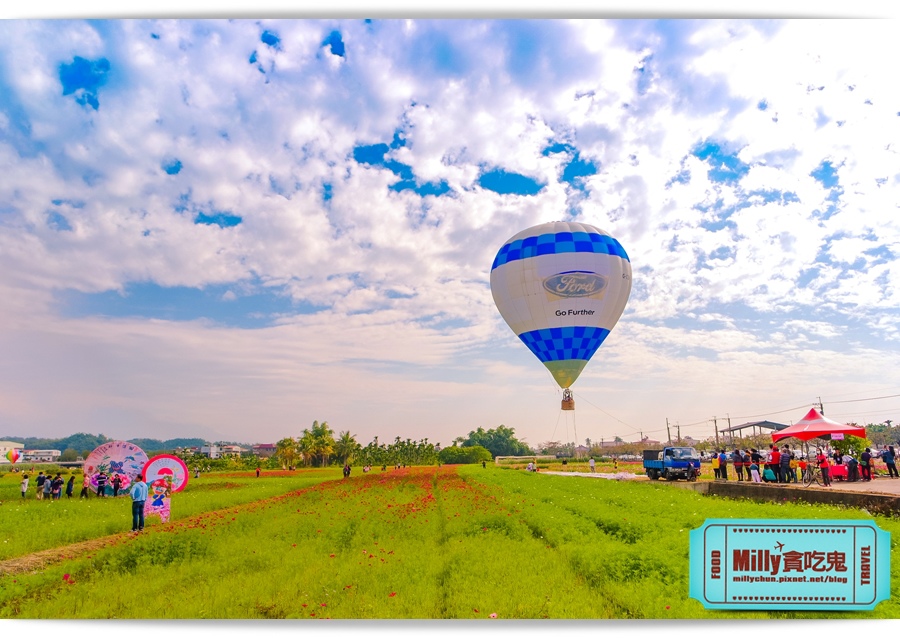 2015美濃花海 011.jpg