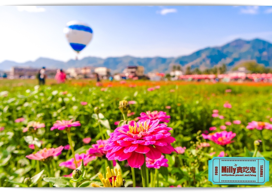 2015美濃花海 015.jpg