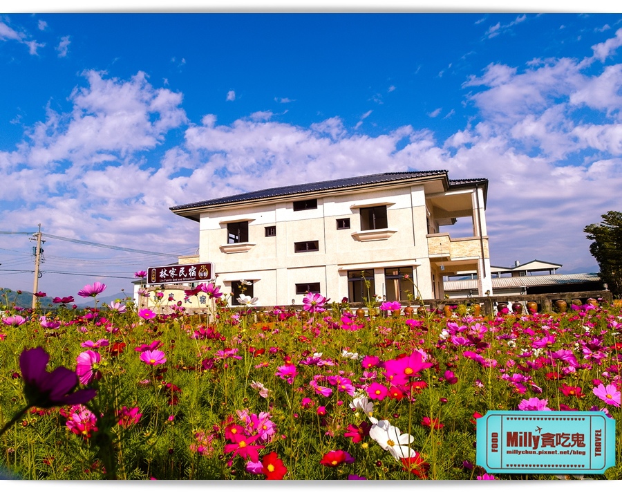 2015美濃花海 023.jpg