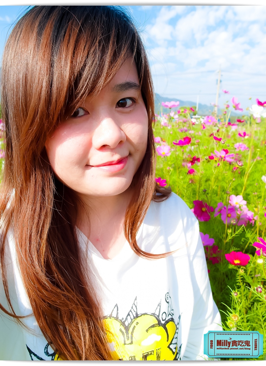 2015美濃花海 038.jpg