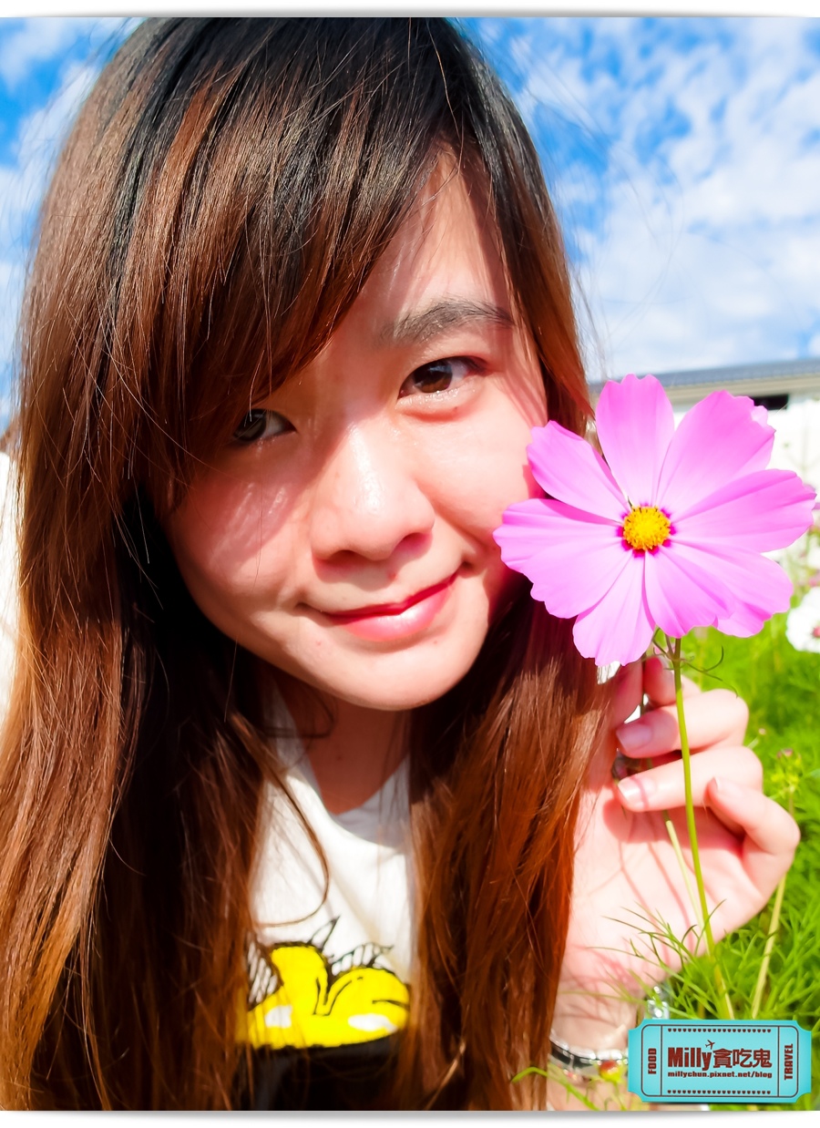 2015美濃花海 039.jpg