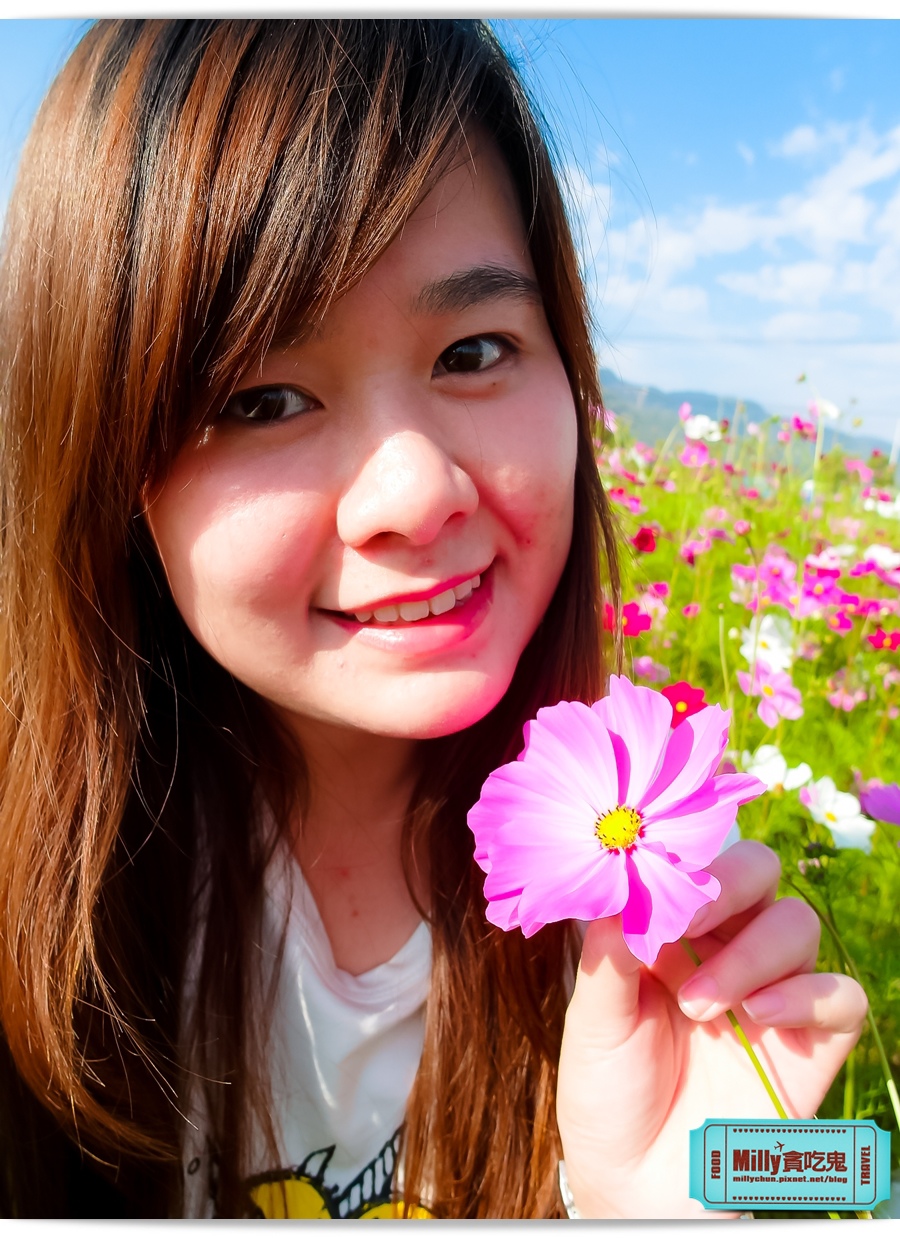 2015美濃花海 040.jpg