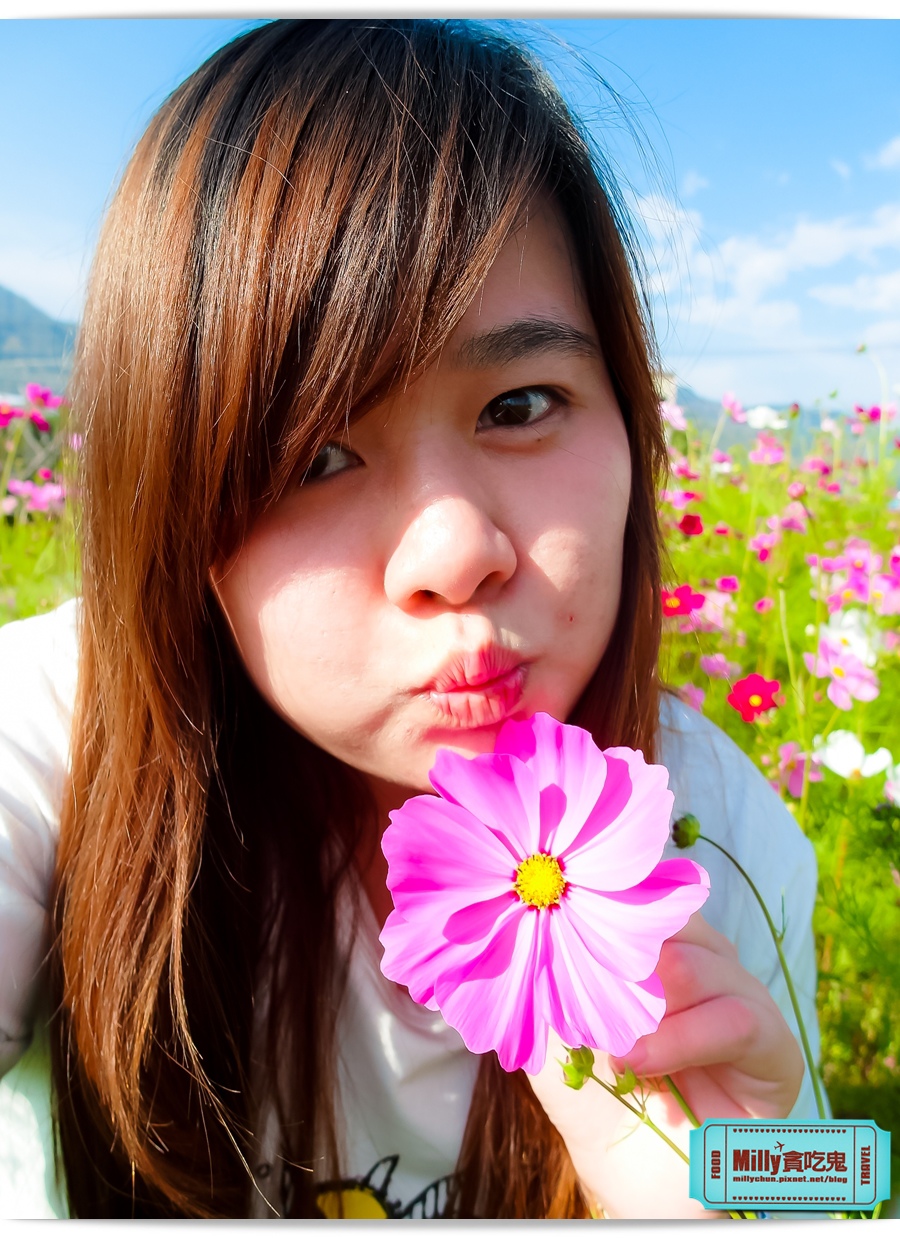 2015美濃花海 041.jpg