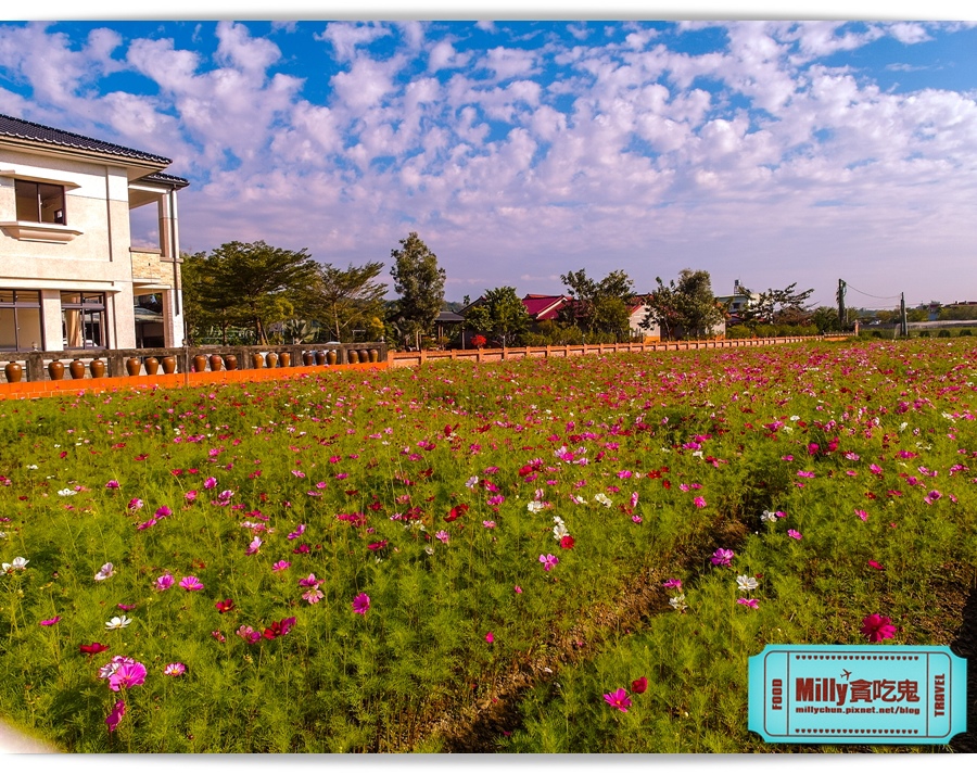 2015美濃花海 042.jpg