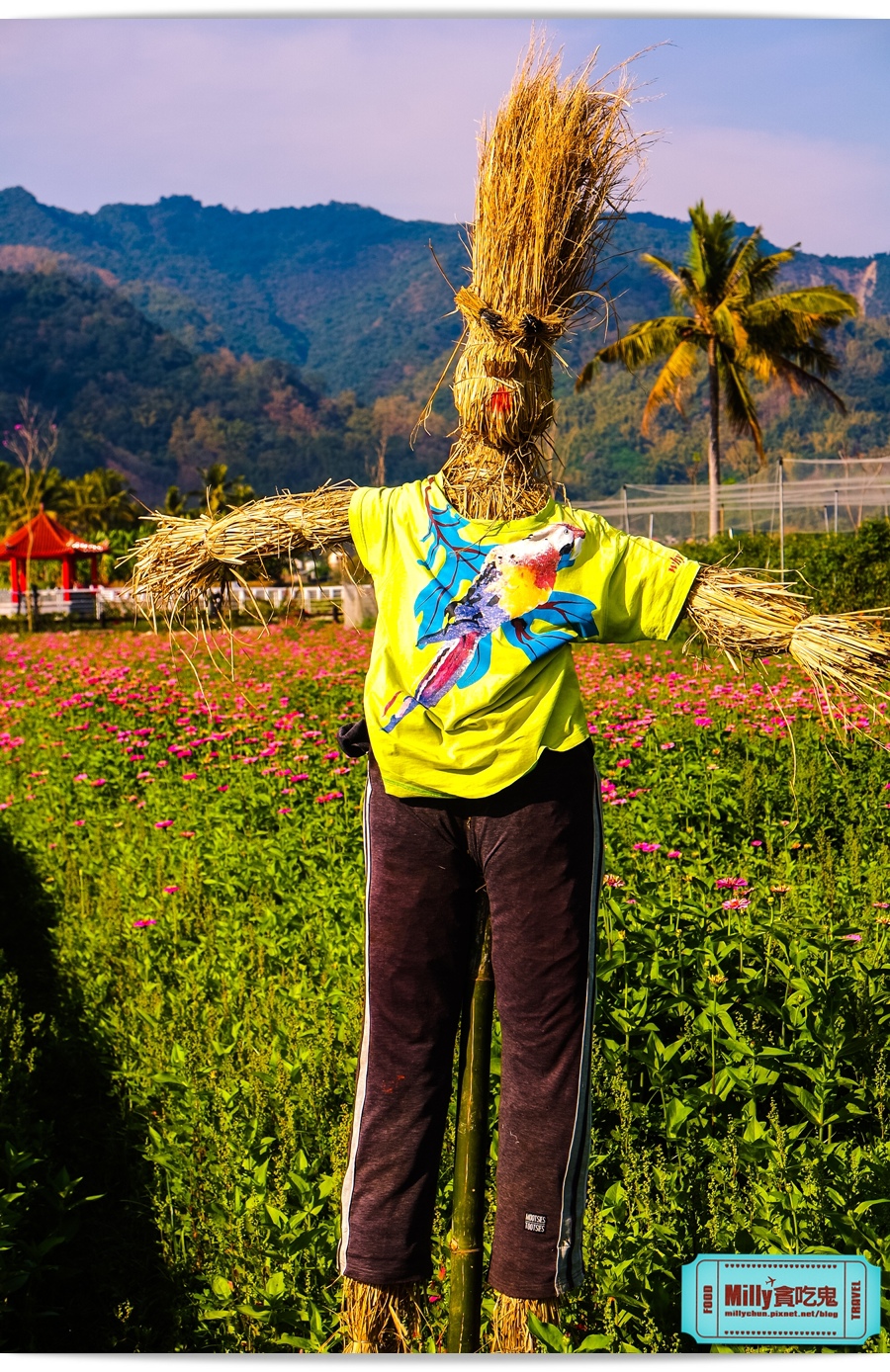 2015美濃花海 044.jpg