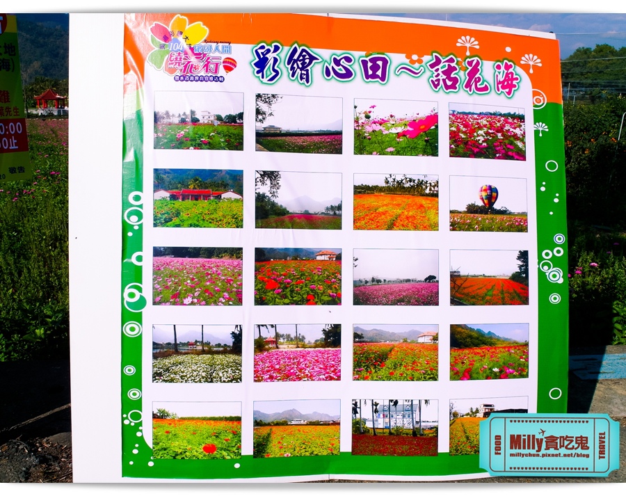 2015美濃花海 049.jpg