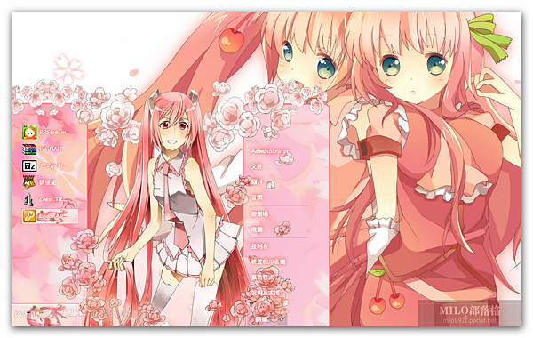 sakura miku 2013   初音   MILO