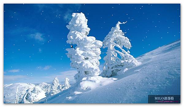 山林飄雪snowfall MILO BLOG__003_Snow09h24m01s 山林飄雪snowfall MILO BLOG__003_Snow09h24m01s