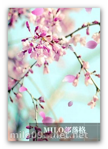 milo0922.pixnet.net_17h47m40s