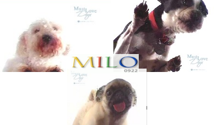 201226.png 201226.png